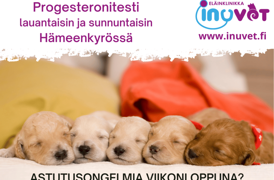 Progesteronitesti viikonloppuna