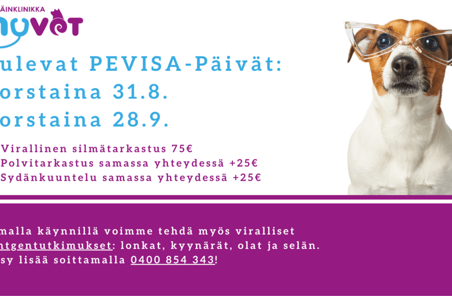 Tulevat PEVISA-päivät Hämeenkyröön