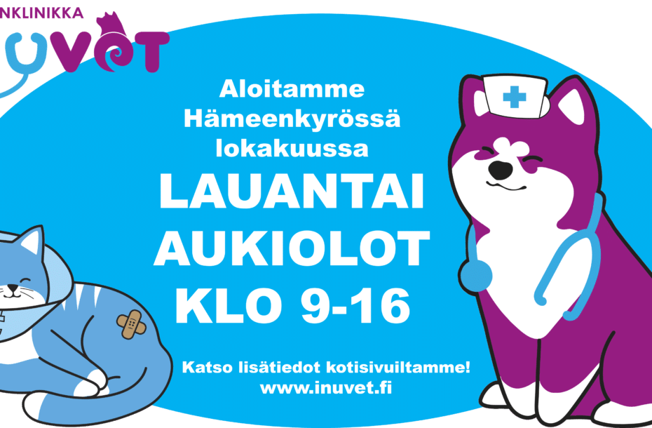 Lauantai aukiolot alkavat Hämeenkyrössä lokakuussa 2023
