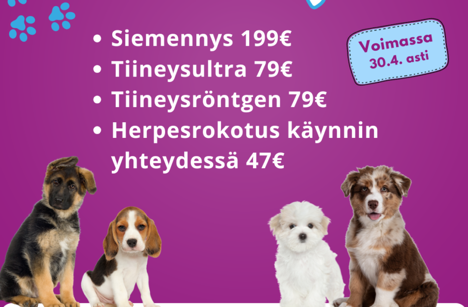 Kasvattajille!