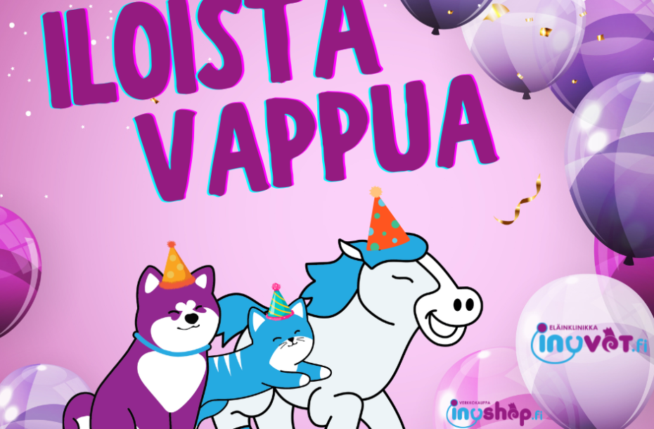 Iloista Vappua