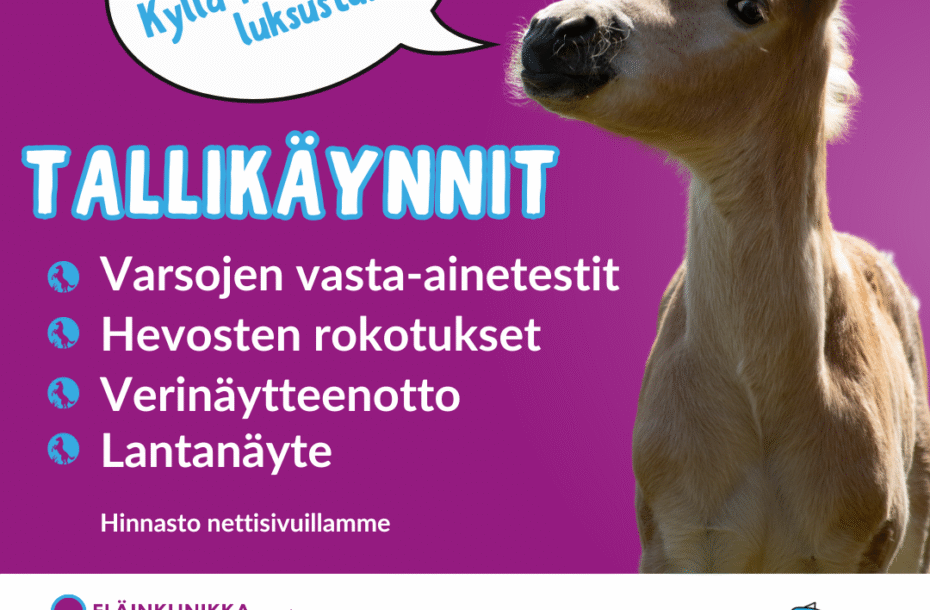 Tallikäynnit