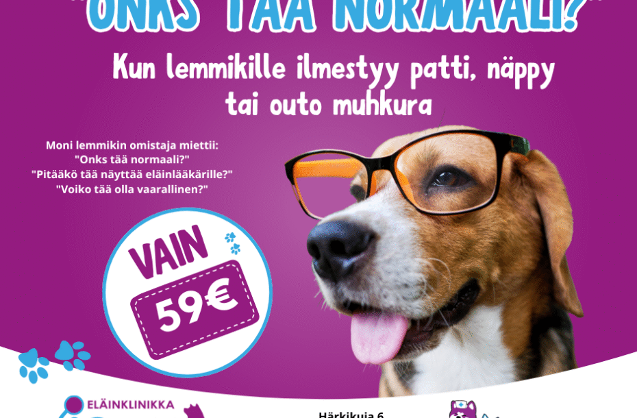 ”Onks tää normaali?”