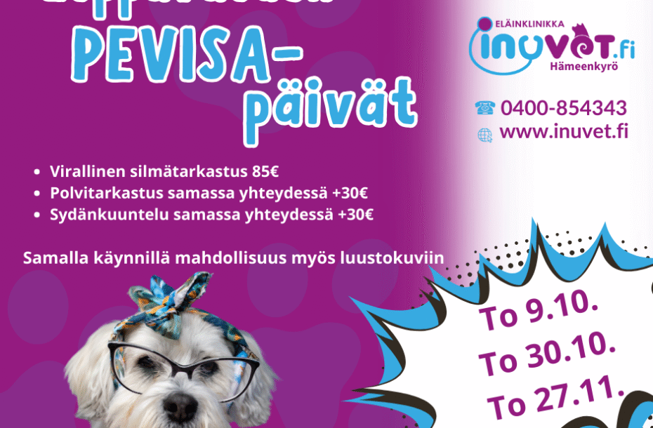 Loppuvuoden PEVISA-päivät