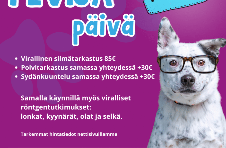 Uudet PEVISA-päivät