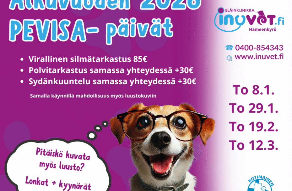 Alkuvuoden 2026 PEVISA- Päivät