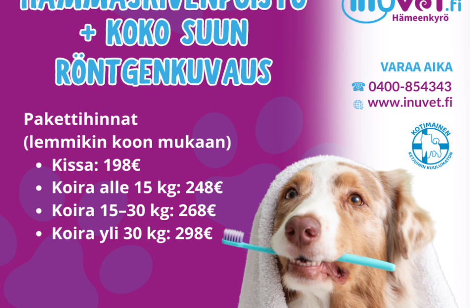 Helmikuun hammaskampanja