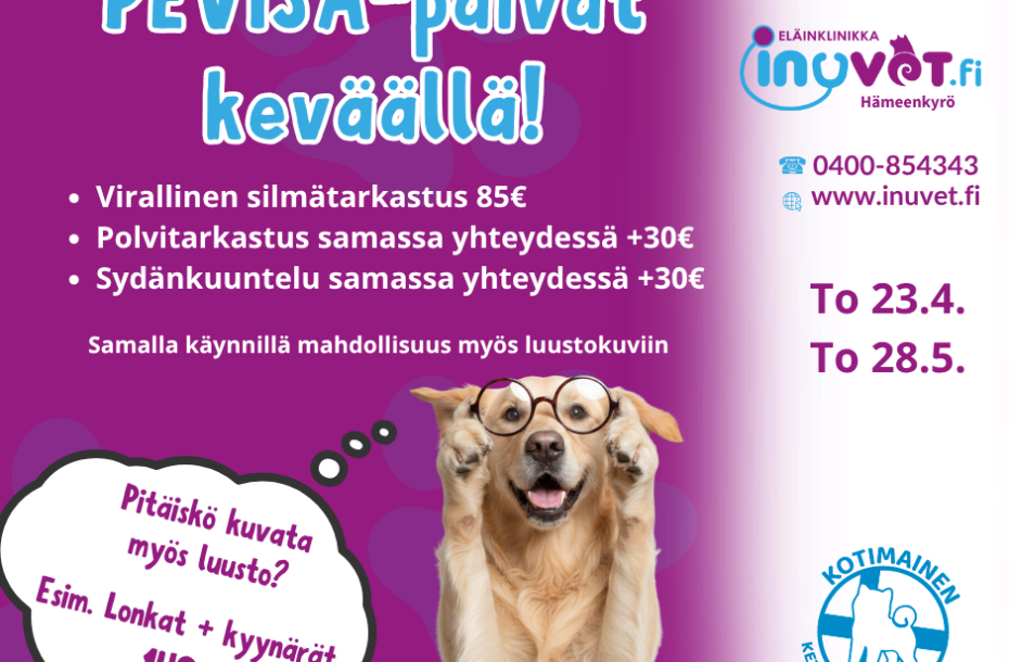 Kevään PEVISA-päivät