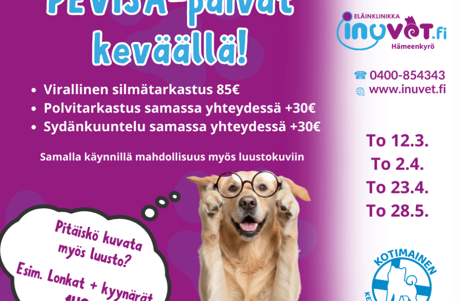 Kevään PEVISA-päivät