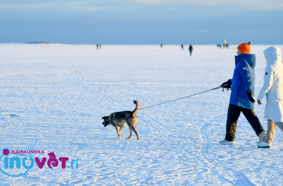 Varo heikkoja jäitä