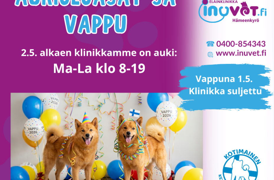 Vappu ja kesäaikataulu alkaa