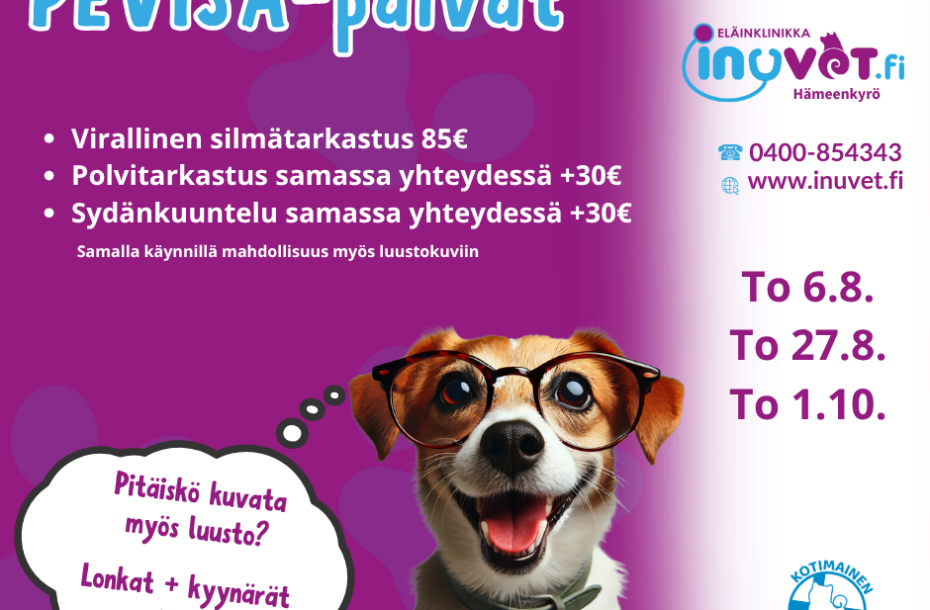Syksyn PEVISA-päivät