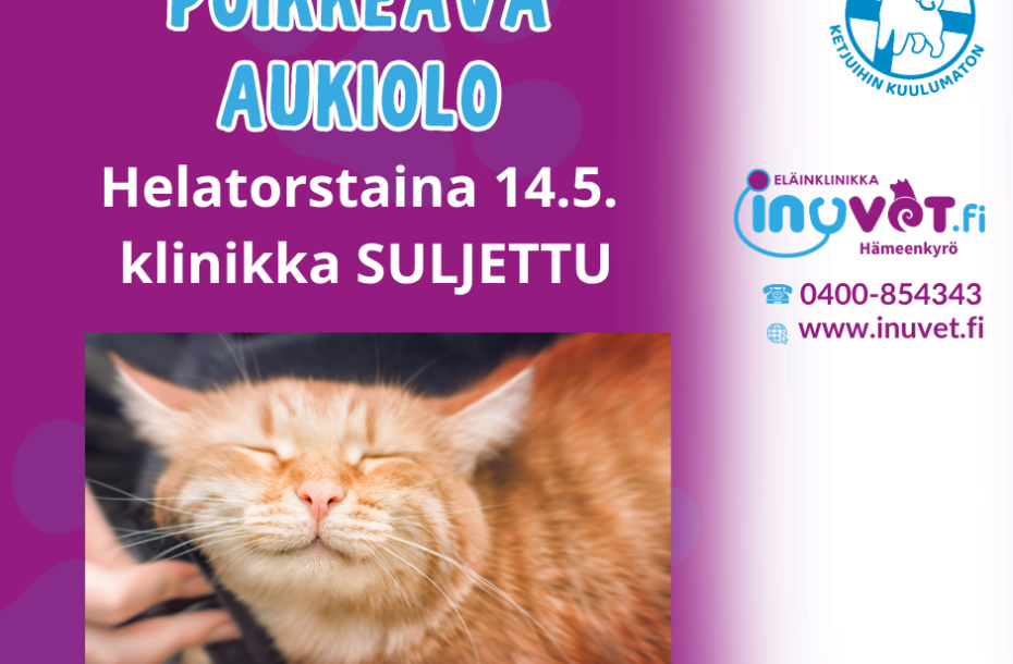 Poikkeus, Helatorstai