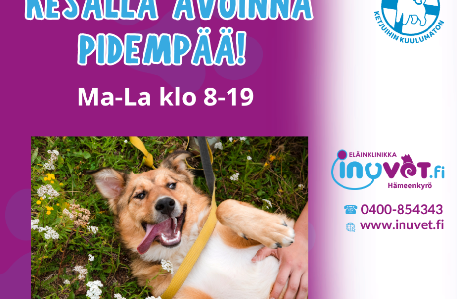 Kesällä auki!