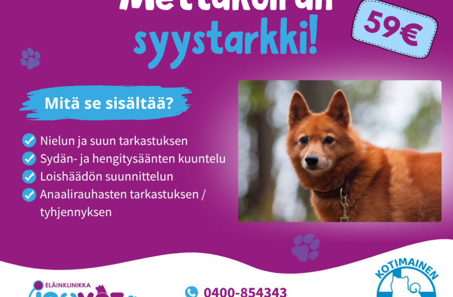 Mettäkoiran syystarkki