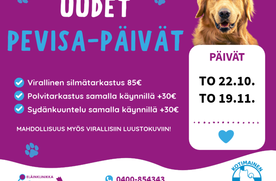 Uusia PEVISA-päiviä