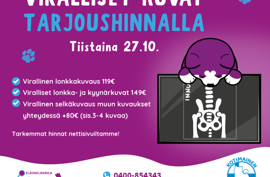 Kuvauspäivä 27.10.